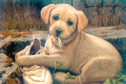 Attention chien mechant